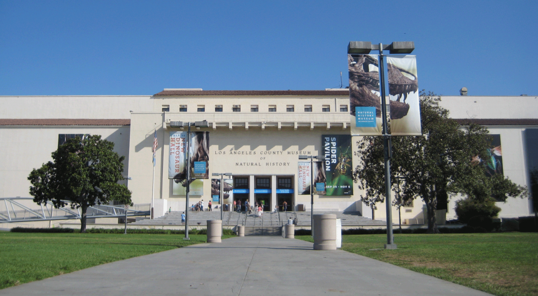 ロサンゼルス郡・自然史博物館: カリフォルニア州ロサンゼルス